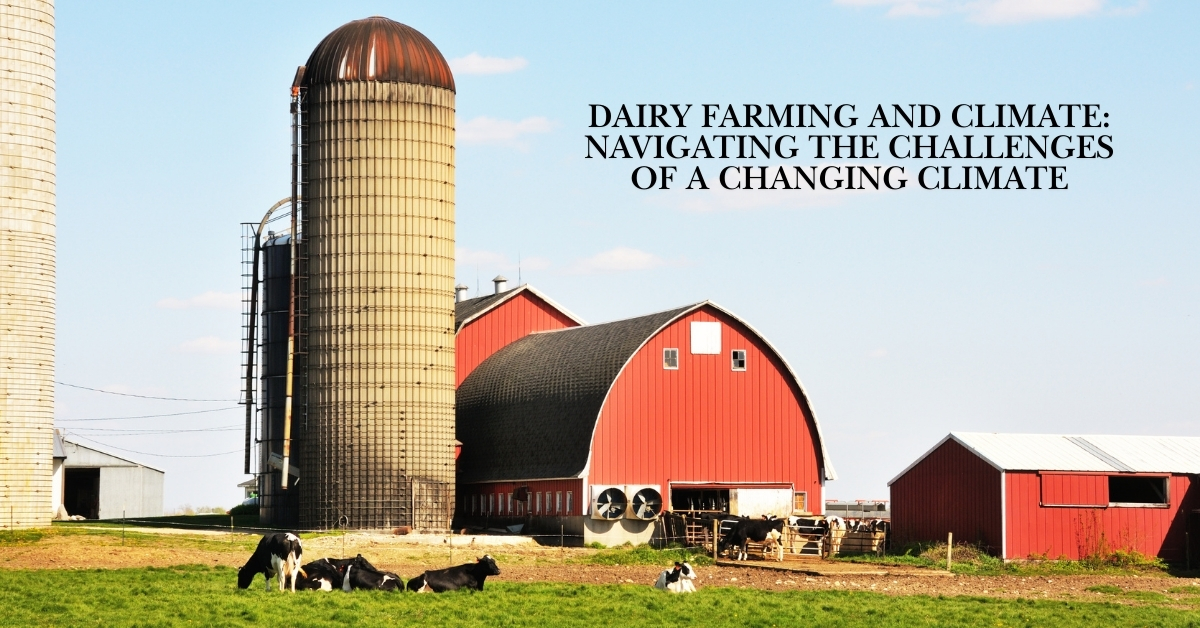 dairy farm view