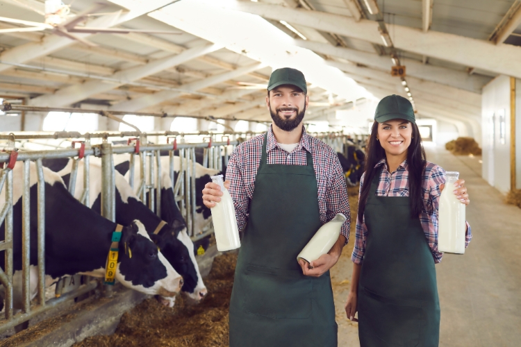 man and woman focus in dairy farm