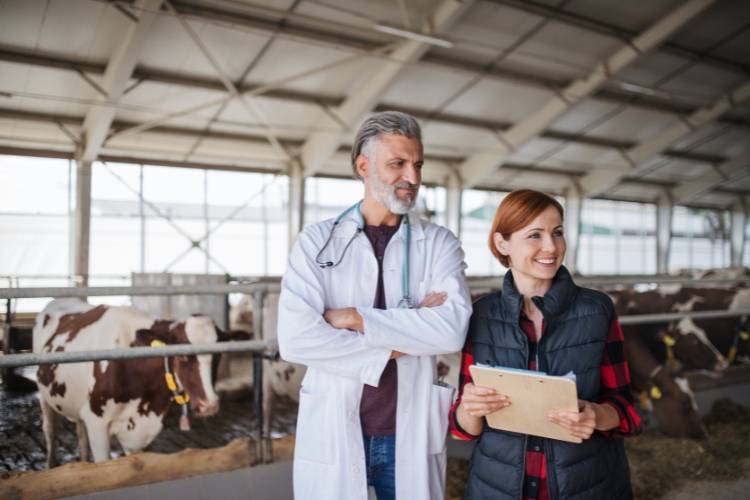 man and woman standing in farm