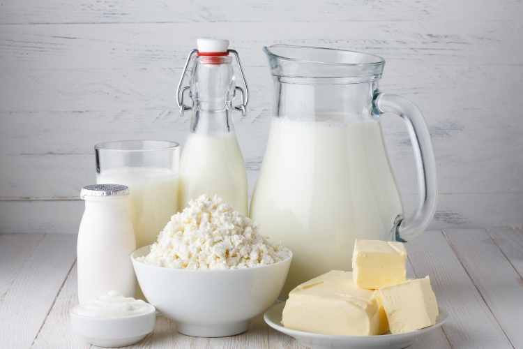 milk and milk produtcs focus