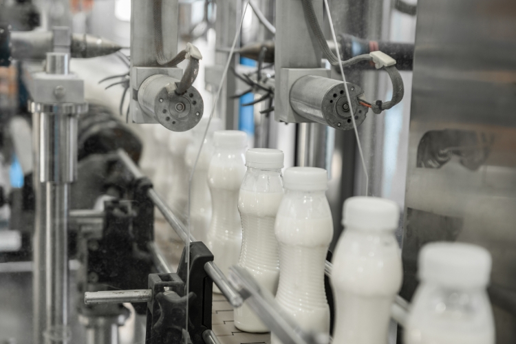 milk production focus