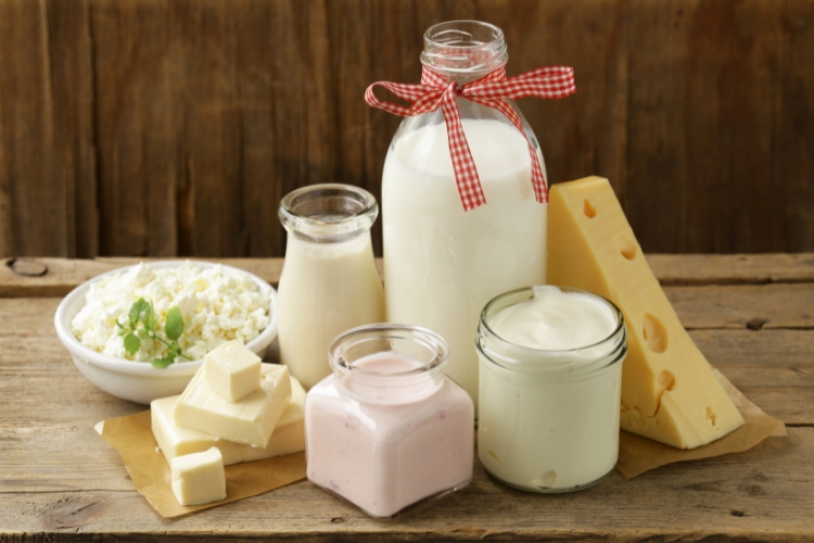 Dairy Products focus