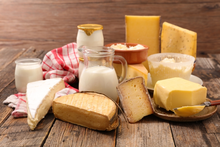 Dairy Products focus 