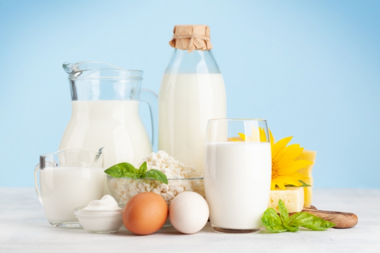 Dairy Products focus 