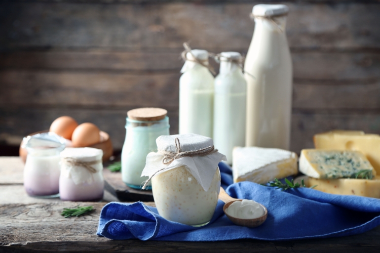 Dairy Products focus