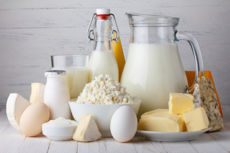 Dairy Products focus