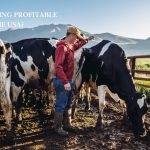 dairy farming focus