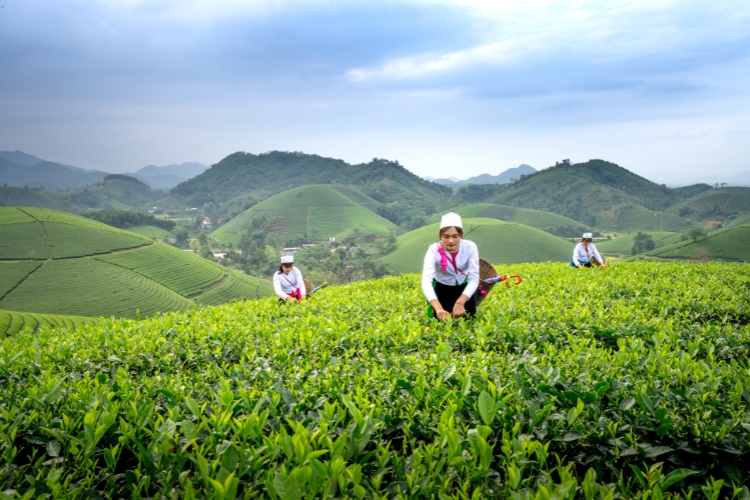 farmers in farm focus