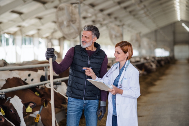 man and woman doing farm management