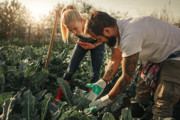 man and woman doing farming