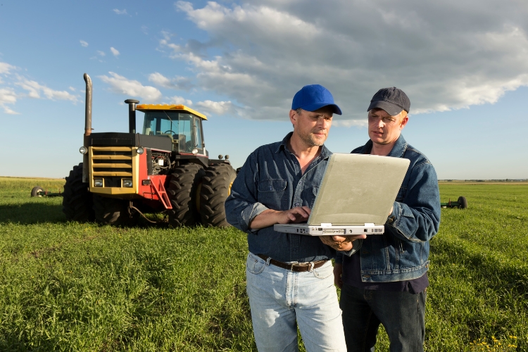 man using laptop in farms