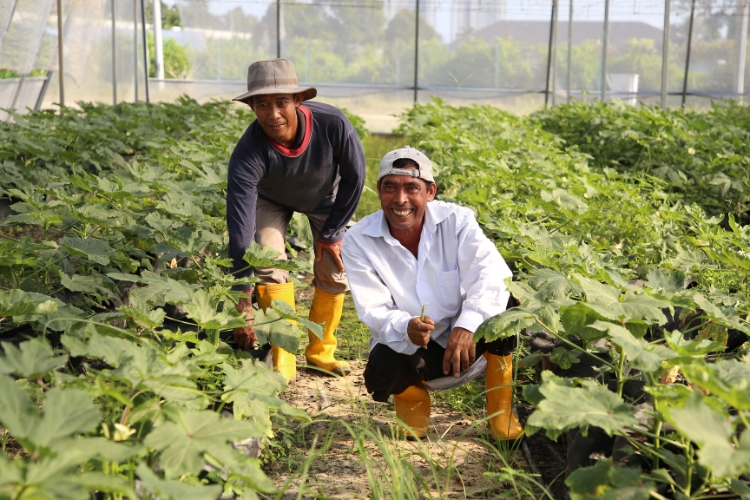 men doing farming focus