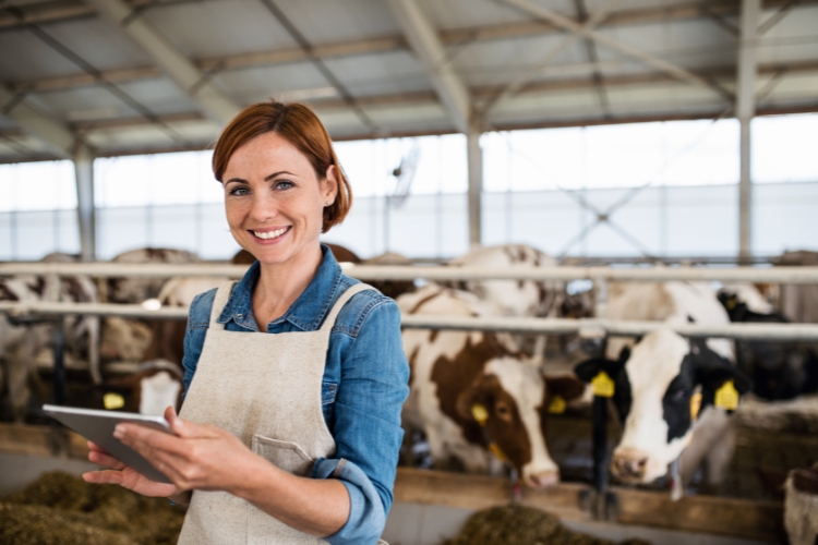 woman in dairy farm