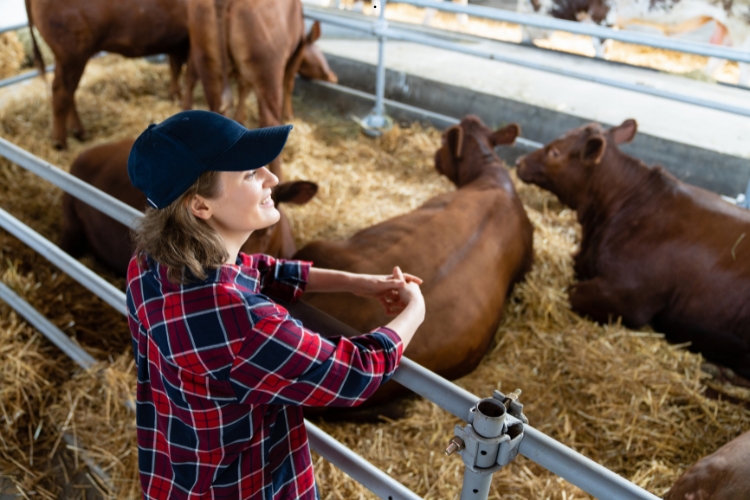 woman in dairy farm focus