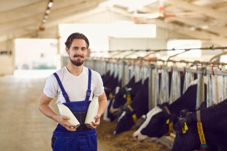 milking machines