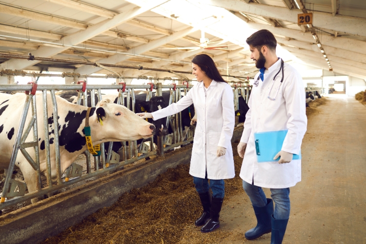 Dairy Farm management female 